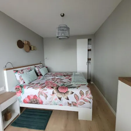 Zeesterflat 117