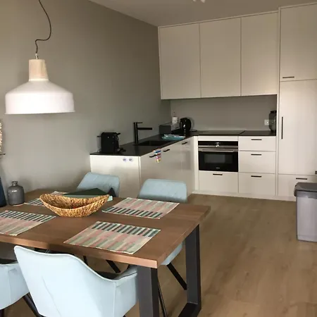 Apartment Zeesterflat 117 *