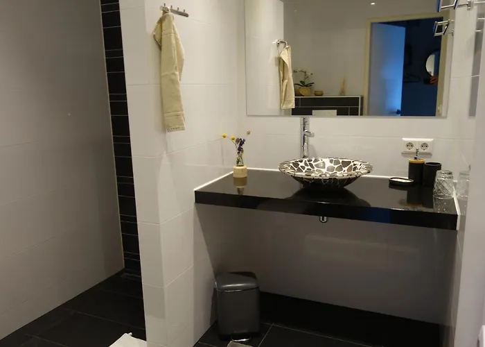 Zeesterflat 117 Apartment Egmond aan Zee