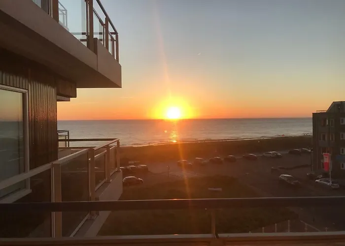 Apartment Zeesterflat 117