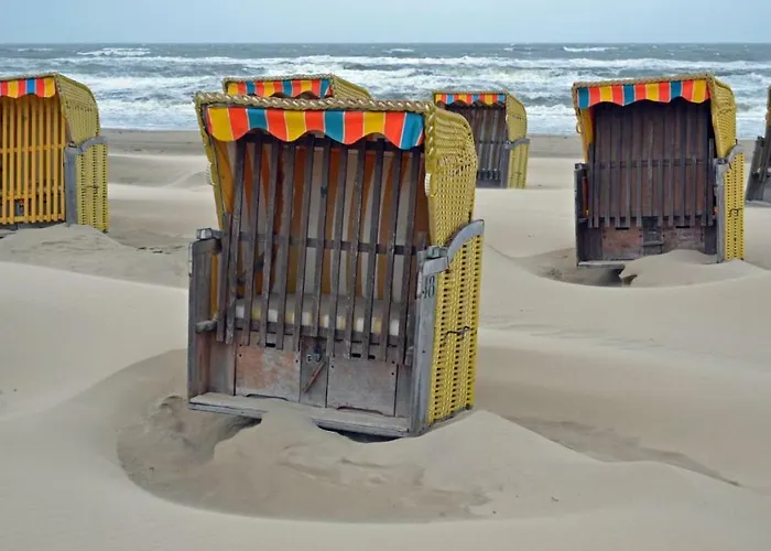 Zeesterflat 117 Apartment Egmond aan Zee